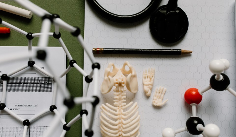 Anatomy and Physiology Level 3